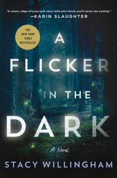 A flicker in the dark  Cover Image