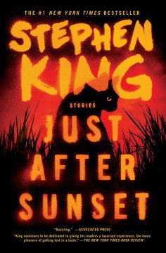 Just after sunset : stories  Cover Image