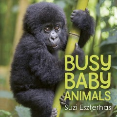 Busy baby animals  Cover Image