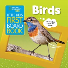 Birds  Cover Image