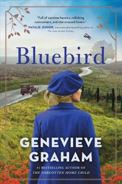 Bluebird  Cover Image