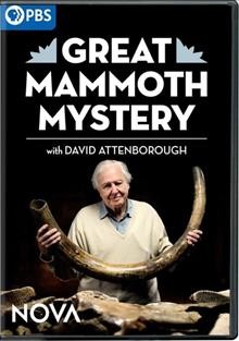 Great mammoth mystery Cover Image