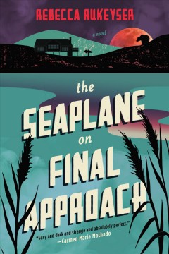 The seaplane on final approach : a novel  Cover Image
