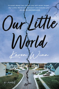 Our little world : a novel  Cover Image