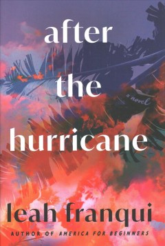 After the hurricane : a novel  Cover Image