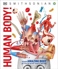 Human body! Cover Image
