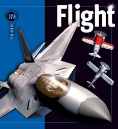 Flight  Cover Image
