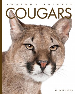 Cougars  Cover Image