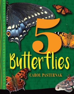 5 butterflies  Cover Image