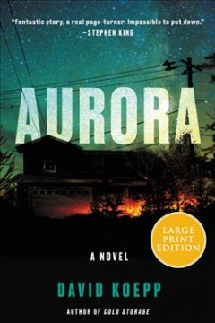 Aurora a novel  Cover Image