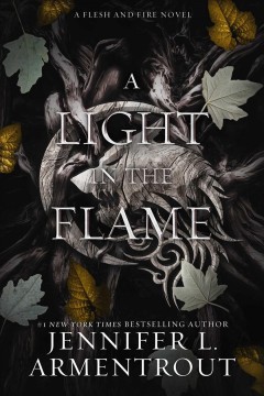 A light in the flame  Cover Image