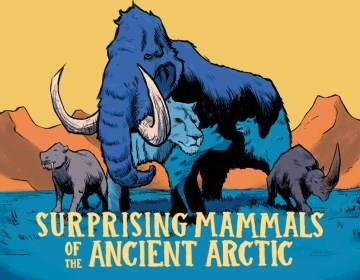 Surprising mammals of the ancient Arctic  Cover Image