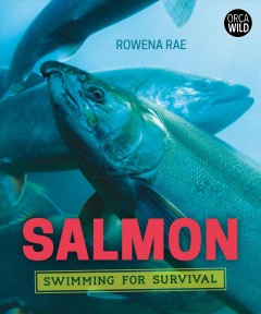 Salmon : swimming for survival  Cover Image