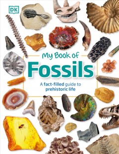 My book of fossils  Cover Image