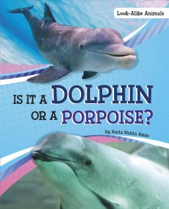 Is it a dolphin or a porpoise?  Cover Image