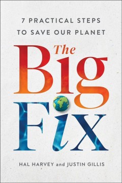 The big fix : 7 practical steps to save our planet  Cover Image