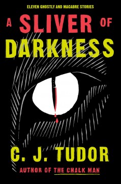 A sliver of darkness : stories  Cover Image