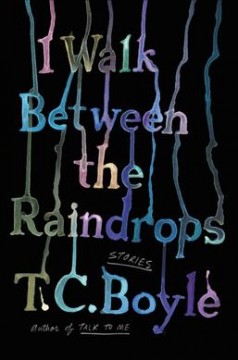 I walk between the raindrops : stories  Cover Image