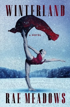 Winterland : a novel  Cover Image