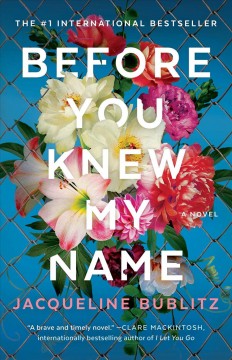 Before you knew my name : a novel  Cover Image