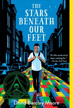 The stars beneath our feet  Cover Image