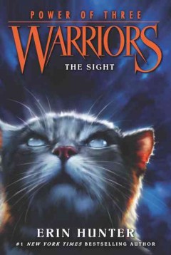 The sight  Cover Image