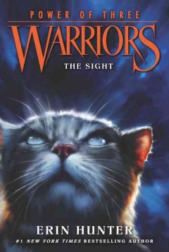 The sight  Cover Image