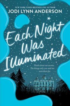 Each night was illuminated  Cover Image