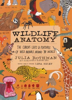 Wildlife anatomy : the curious lives & features of wild animals around the world  Cover Image