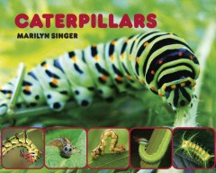 Caterpillars  Cover Image