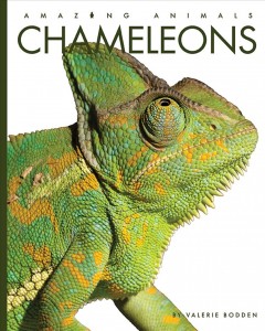 Chameleons  Cover Image