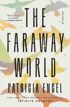 The faraway world : stories  Cover Image