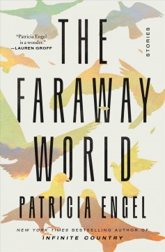 The faraway world : stories  Cover Image