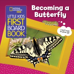 Becoming a butterfly  Cover Image