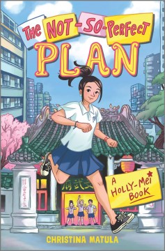 The not-so-perfect plan  Cover Image