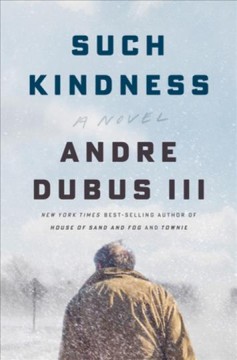 Such kindness : a novel  Cover Image