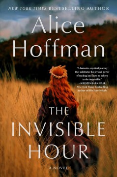 The invisible hour : a novel  Cover Image