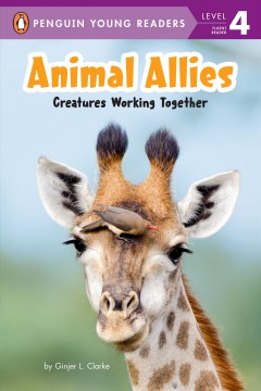 Animal allies : creatures working together  Cover Image