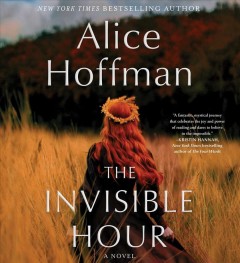 The invisible hour a novel  Cover Image