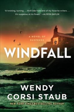 Windfall : a novel of suspense  Cover Image