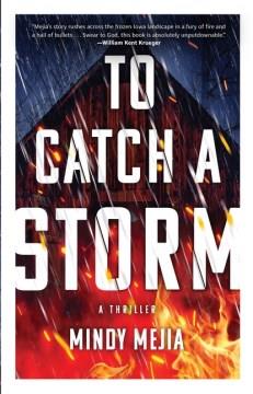 To catch a storm : a novel  Cover Image