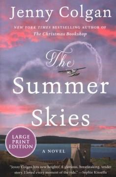 The summer skies a novel  Cover Image