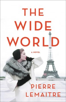 The wide world : a novel  Cover Image