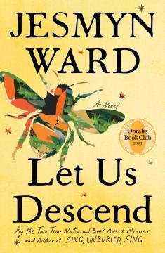 Let us descend : a novel  Cover Image