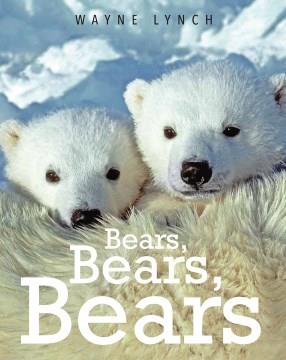 Bears, bears, bears  Cover Image