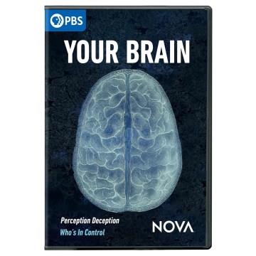 Your brain Cover Image
