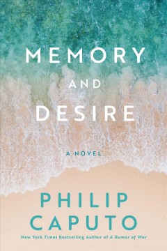 Memory and desire : a novel  Cover Image
