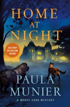 Home at night  Cover Image