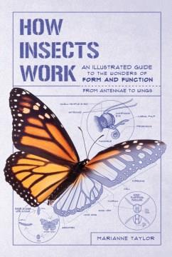 How insects work : an illustrated guide to the wonders of form and function-from antenna to wings  Cover Image