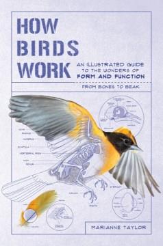 How birds work : an illustrated guide to the wonders of form and function-from bones to beak  Cover Image